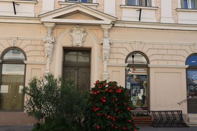 IMG_4671.JPG