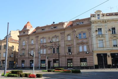 IMG_4873.JPG
