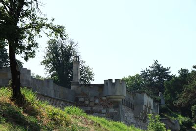 IMG_4885.JPG
