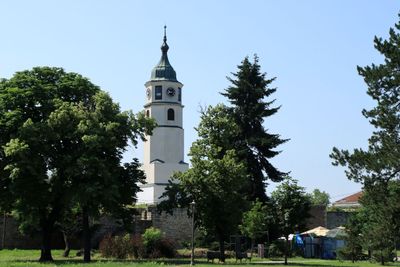 IMG_4947.JPG