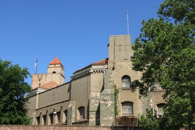 IMG_4953.JPG