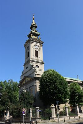 IMG_4966.JPG