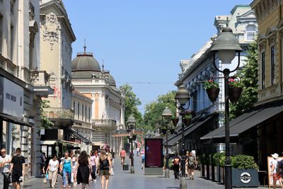 IMG_4979.JPG