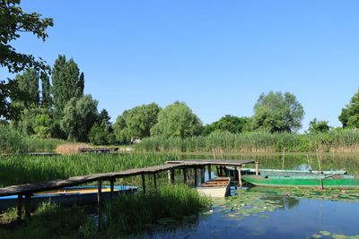 IMG_4695.JPG