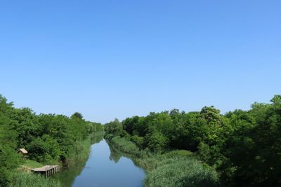 IMG_4705.JPG