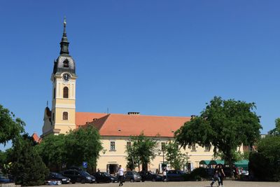 IMG_4713.JPG