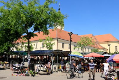 IMG_4718.JPG