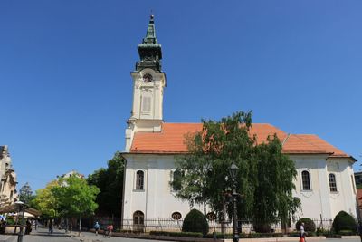 IMG_4720.JPG