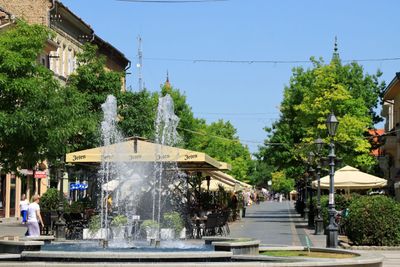 IMG_4727.JPG