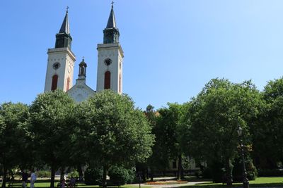 IMG_4730.JPG