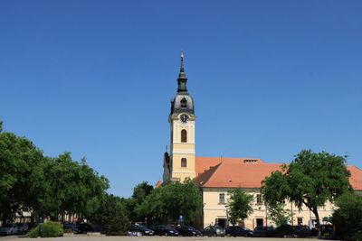 IMG_4734.JPG