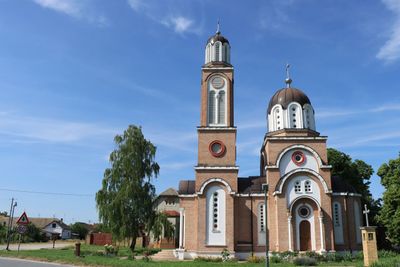 IMG_4753.JPG