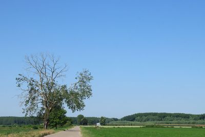 IMG_4762.JPG