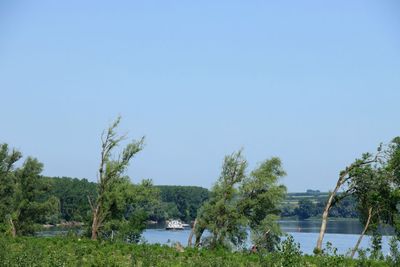 IMG_4765.JPG