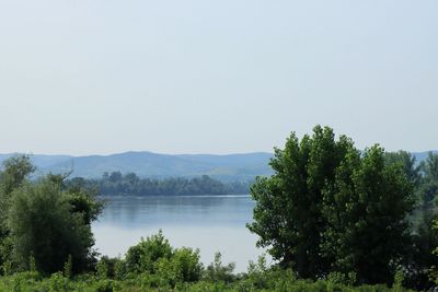 IMG_4778.JPG
