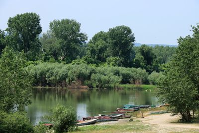 IMG_4780.JPG