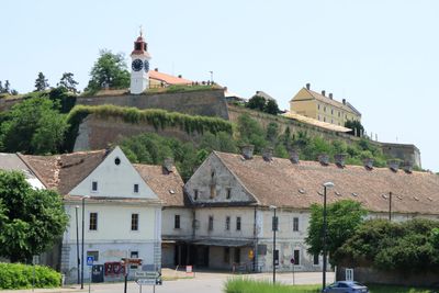 IMG_4819.JPG