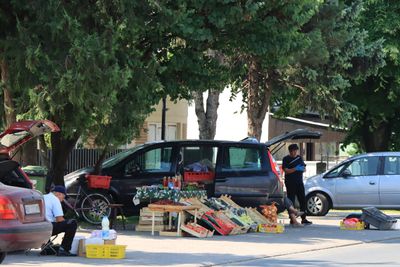 IMG_4849.JPG