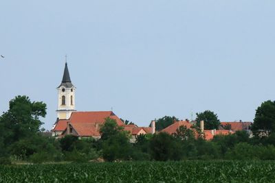IMG_5012.JPG