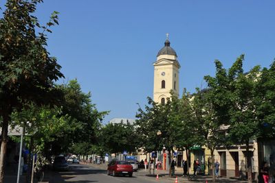 IMG_5019.JPG
