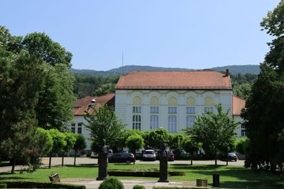 IMG_5037.JPG