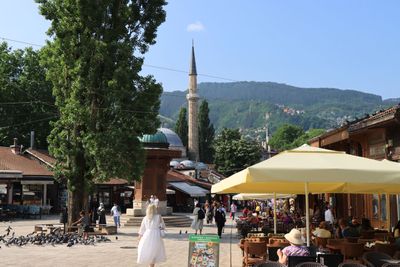 IMG_5134.JPG