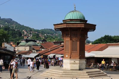 IMG_5138.JPG