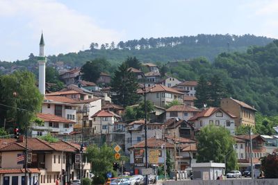 IMG_5145.JPG