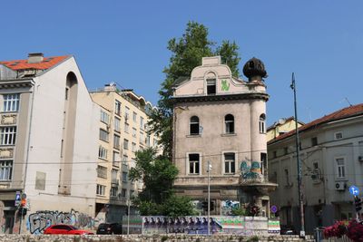 IMG_5185.JPG