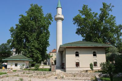 IMG_5186.JPG