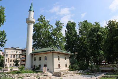 IMG_5188.JPG
