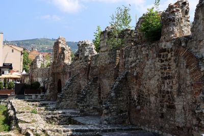 IMG_5225.JPG