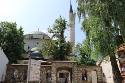 IMG_5230.JPG