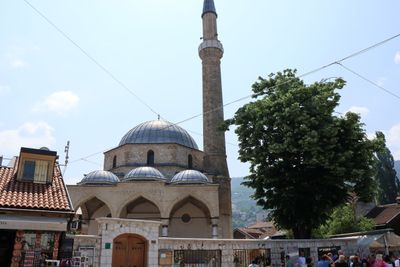 IMG_5239.JPG
