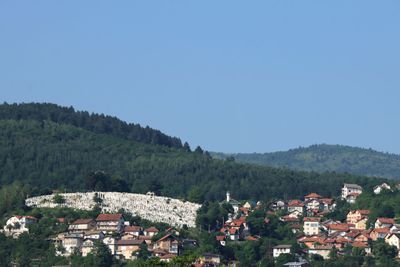 IMG_5259.JPG