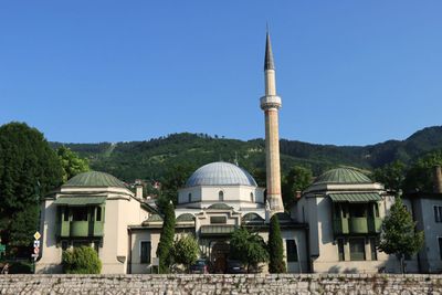 IMG_5272.JPG