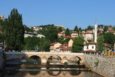 IMG_5278.JPG