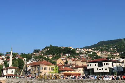 IMG_5288.JPG