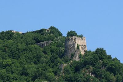 IMG_5058.JPG