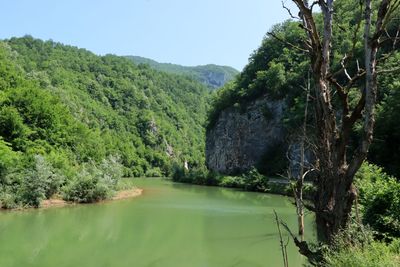 IMG_5070.JPG
