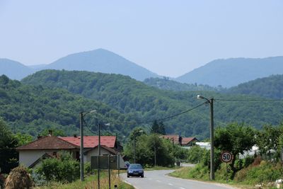 IMG_5084.JPG