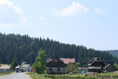 IMG_5095.JPG