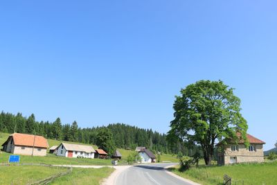 IMG_5096.JPG