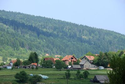 IMG_5098.JPG