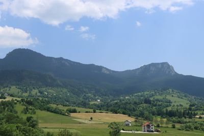 IMG_5110.JPG