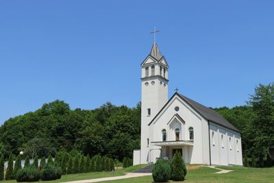 IMG_5310.JPG