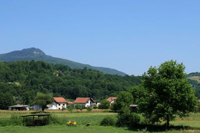 IMG_5333.JPG