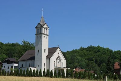 IMG_5344.JPG