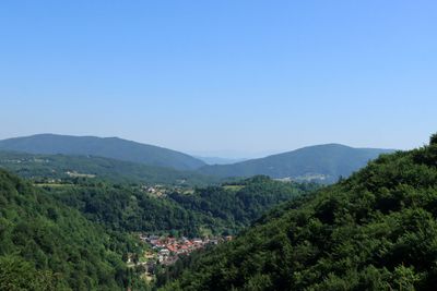 IMG_5354.JPG