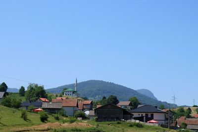 IMG_5362.JPG